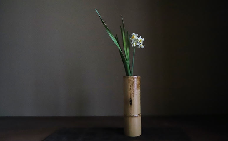 BAMBOO
